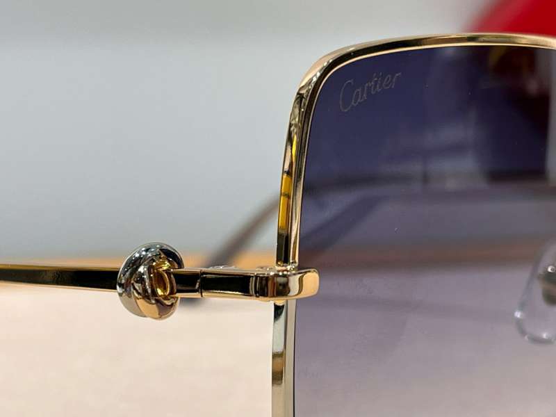 Picture of Cartier Sunglasses _SKUfw56601031fw